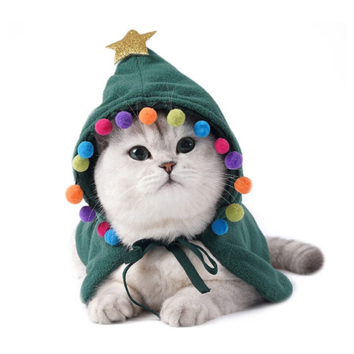 Festive Cat Costume Cloak 1
