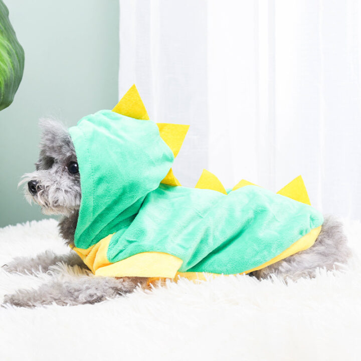 Funny Dinosaur Costume for Dog / Cat 1