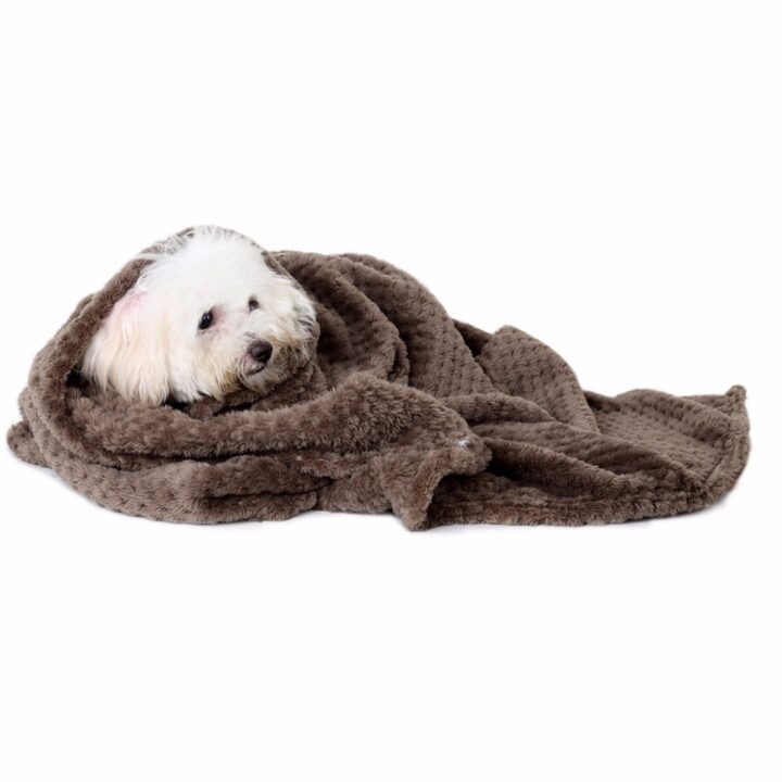 Warm Blanket for Dog 1
