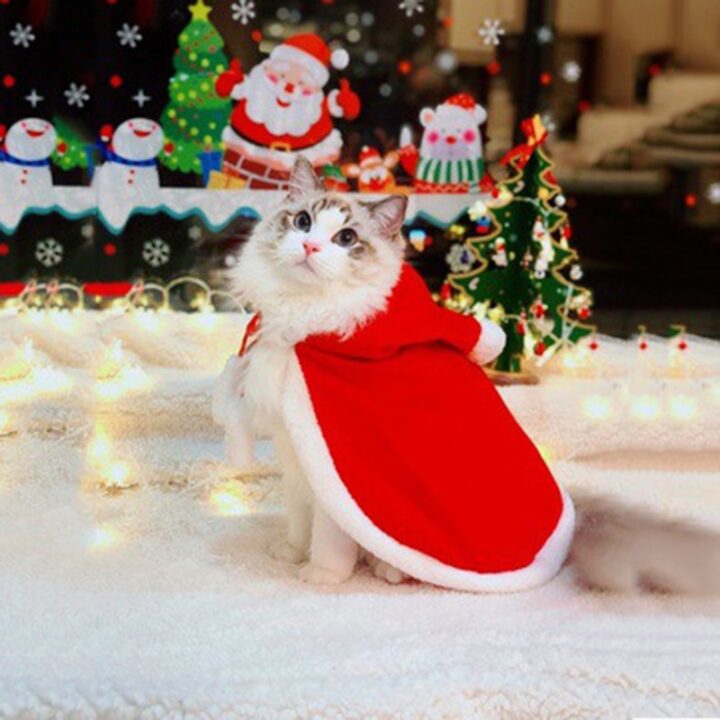 Pet (Dog / Cat) Christmas clothes for winter 1