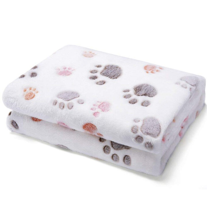 Dog And Cat Flannel Thickened Pet Blanket 4