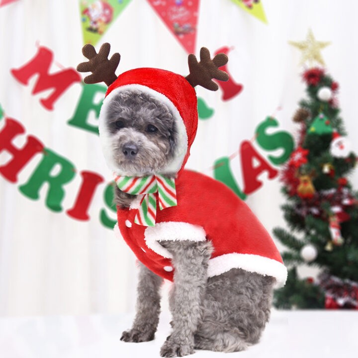 Christmas Poppy Dog ELK Costume Santa 1