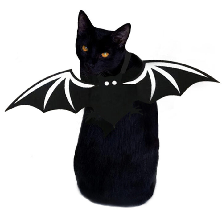 Halloween Pet Bat Wings for Cat / Dog 2