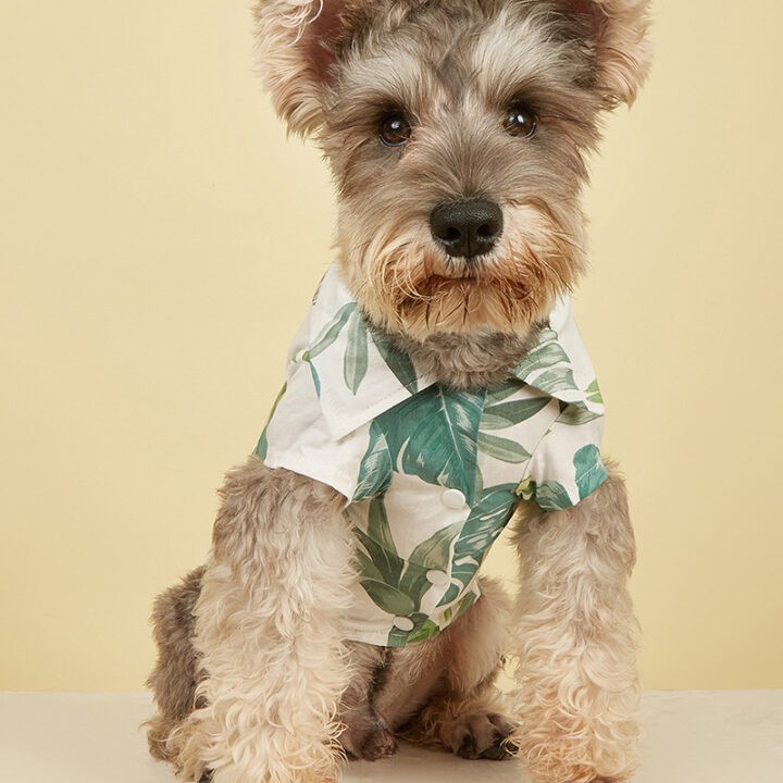 Ins Pet Clothing New Hawaiian Vacation Dog and Cat Shirt 2