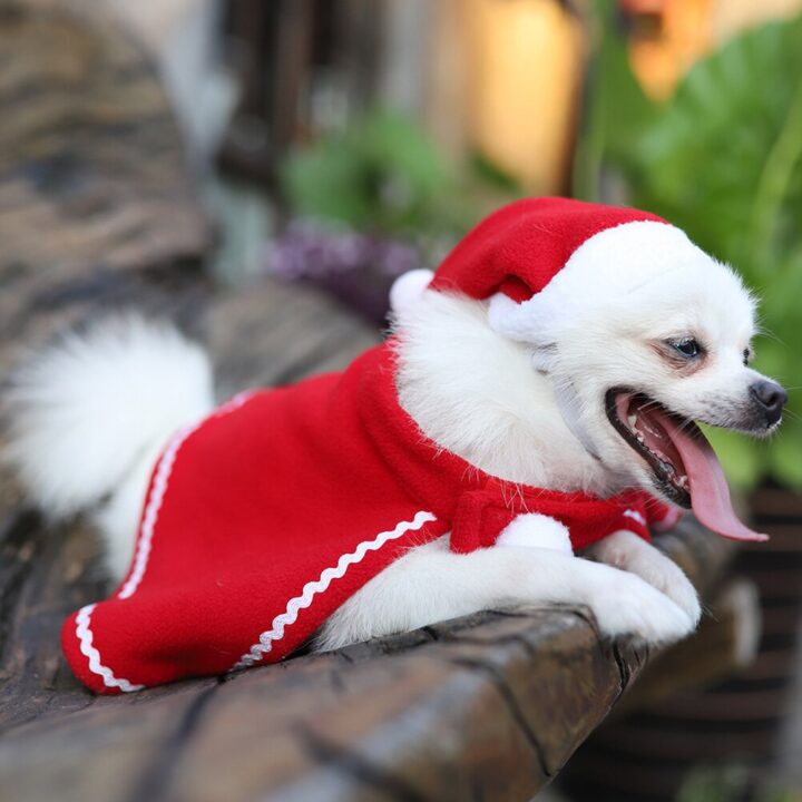 Pet (Dog) Winter Hat Cloak Costume 2