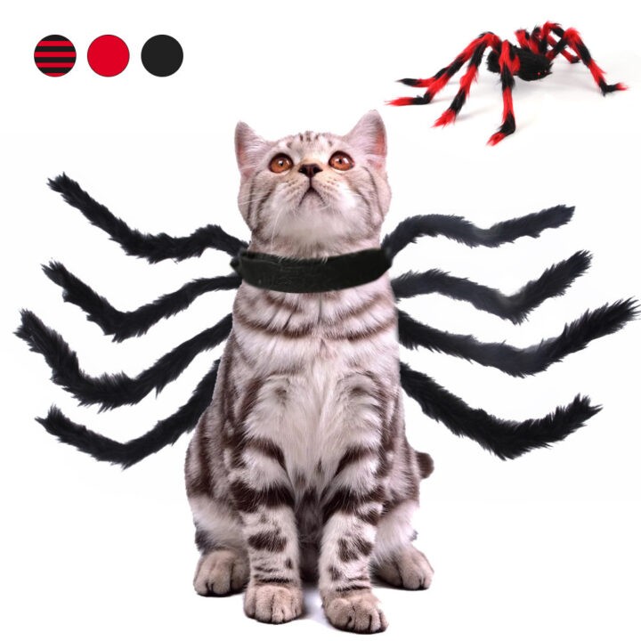 Pet Cat Dog Halloween Creative Spider Costume 1