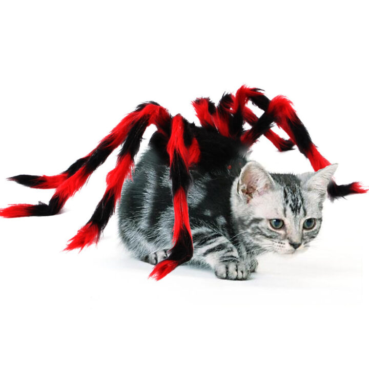 Pet Cat Dog Halloween Creative Spider Costume 2