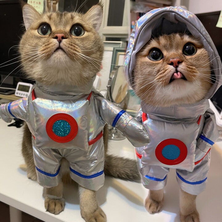 Astronaut Standing Halloween Funny Cat Pet Costume 1