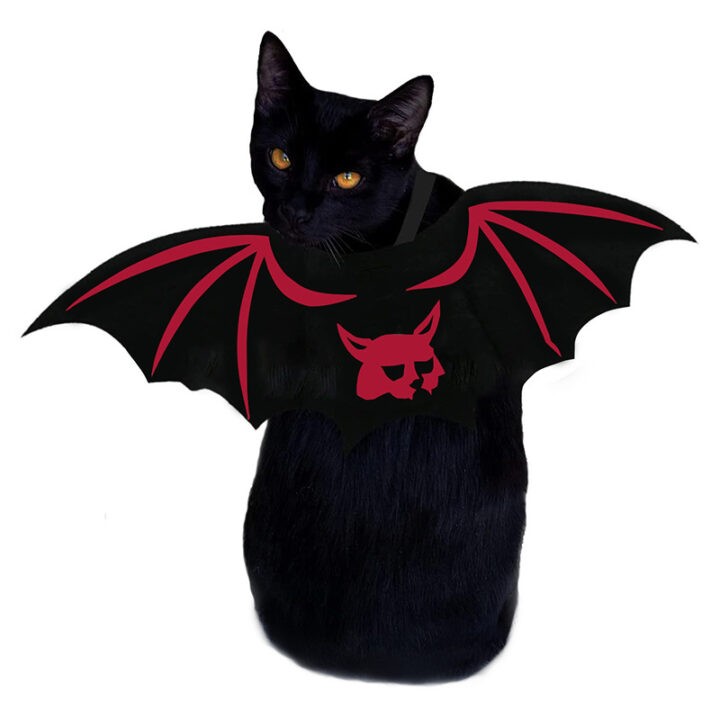 Halloween Pet Bat Wings for Cat / Dog 1