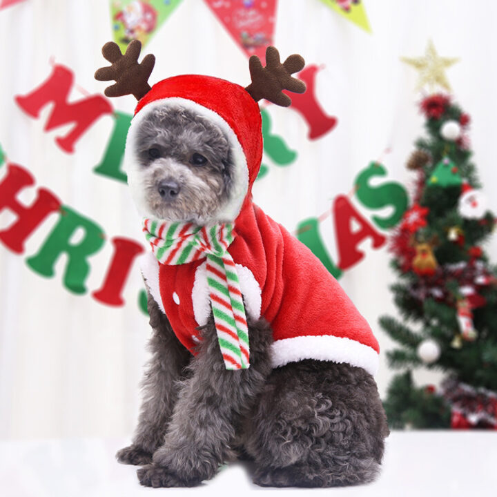 Cozy Dog Christmas Hoodie 1