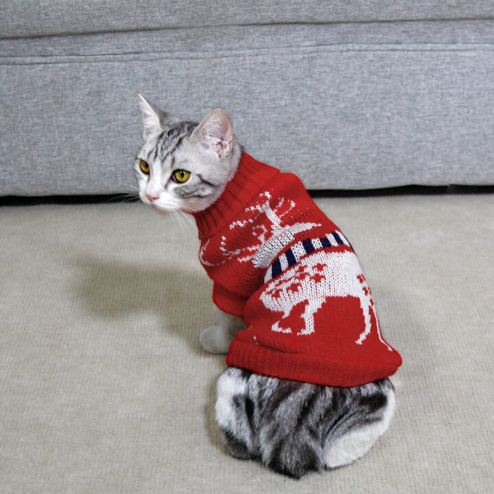 High Collar Cat Knitting Sweater 3