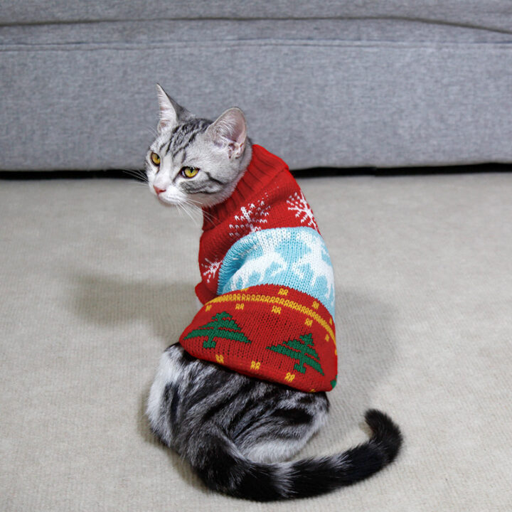 High Collar Cat Knitting Sweater 1