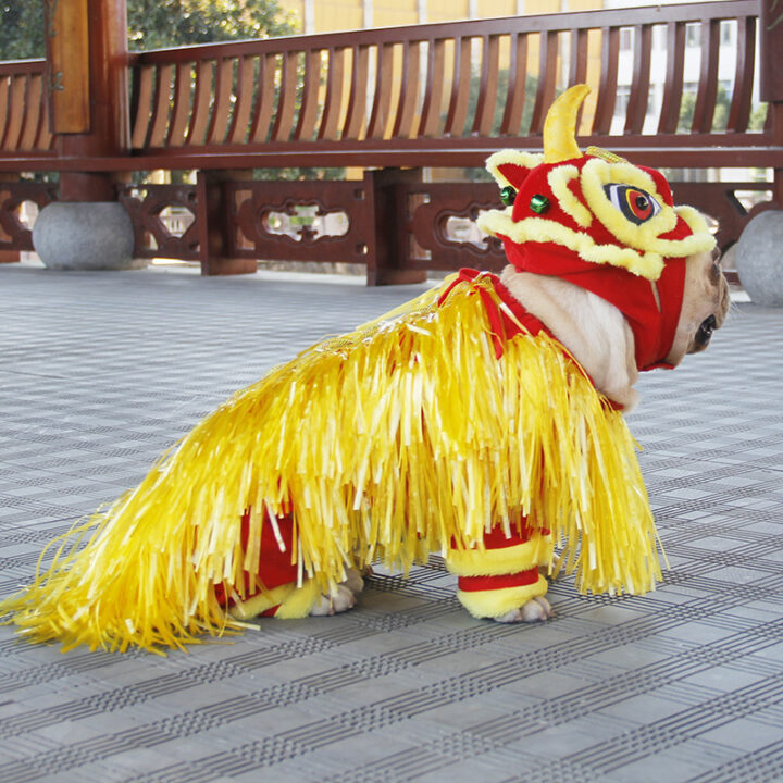 Lion Cosplay Costume for Xmas Party 2