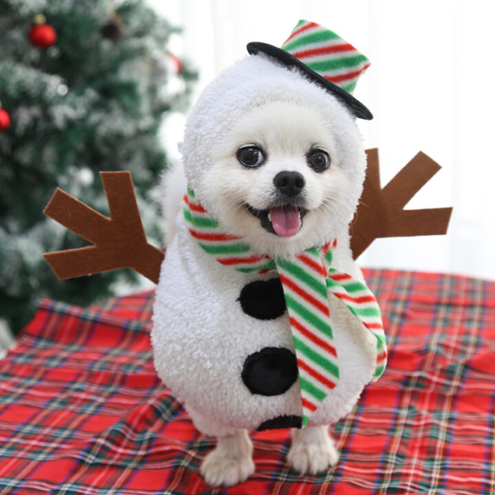 Cozy Dog Christmas Hoodie 10