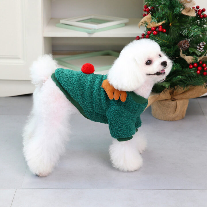 Christmas-Themed Print Sweater 2