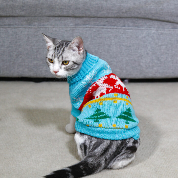High Collar Cat Knitting Sweater 2