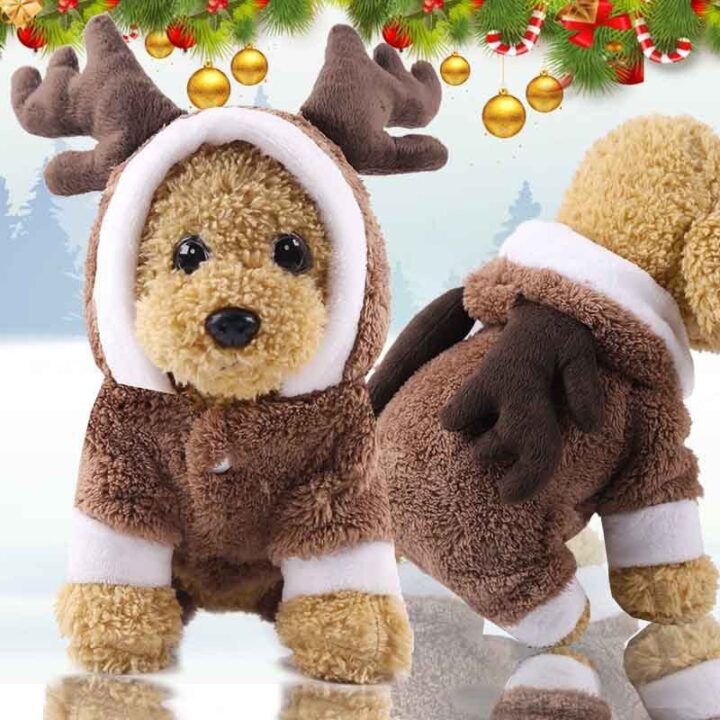Cozy Dog Christmas Hoodie 6