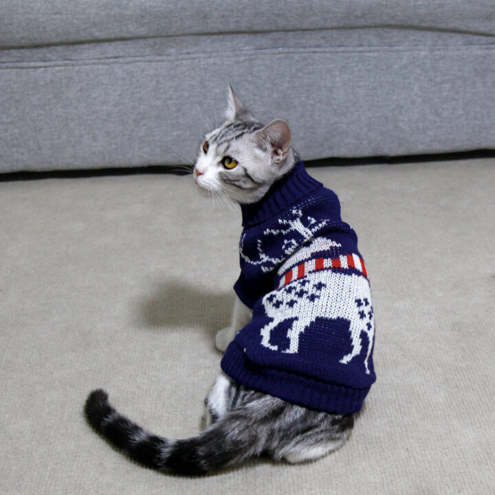 High Collar Cat Knitting Sweater 4