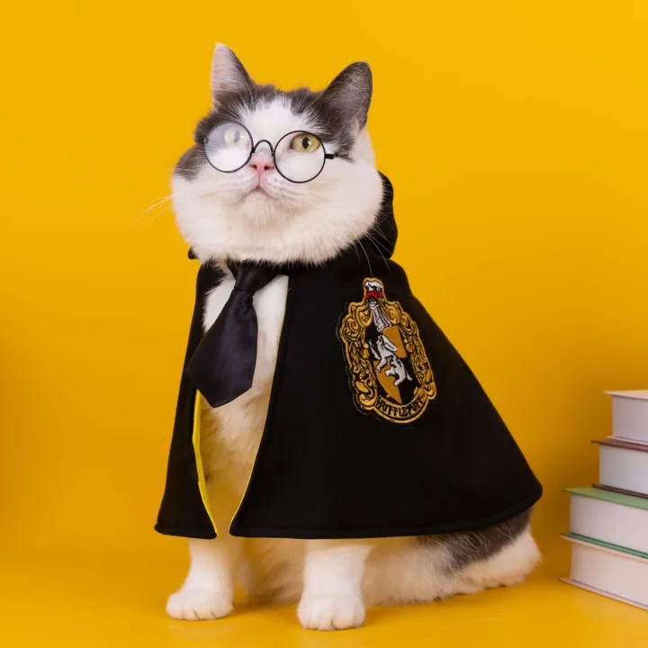 Chic Magic Kitty Academy Costume 3