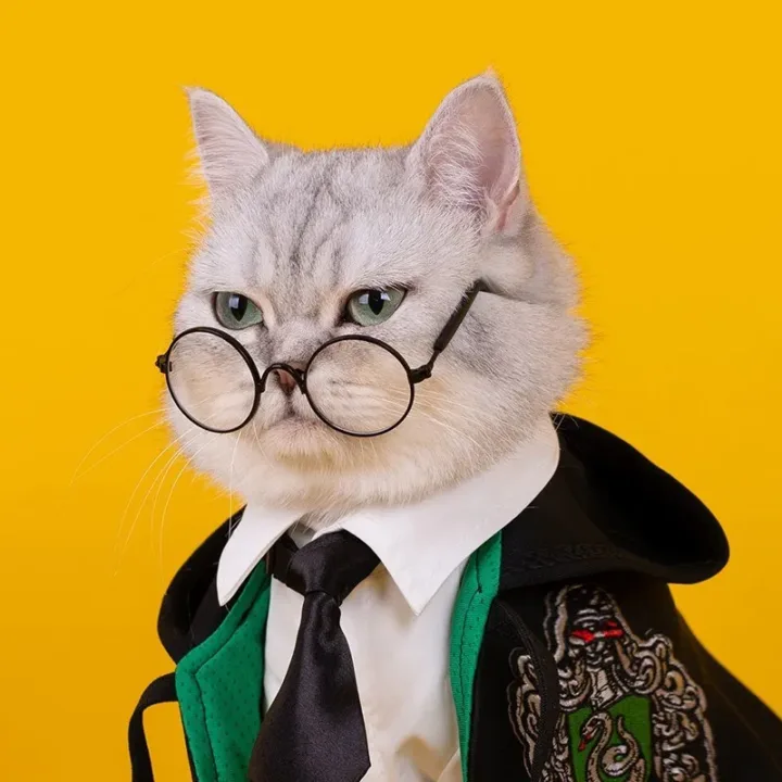 Chic Magic Kitty Academy Costume 5