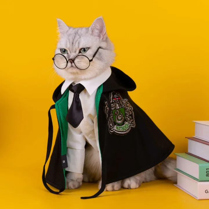 Chic Magic Kitty Academy Costume 1