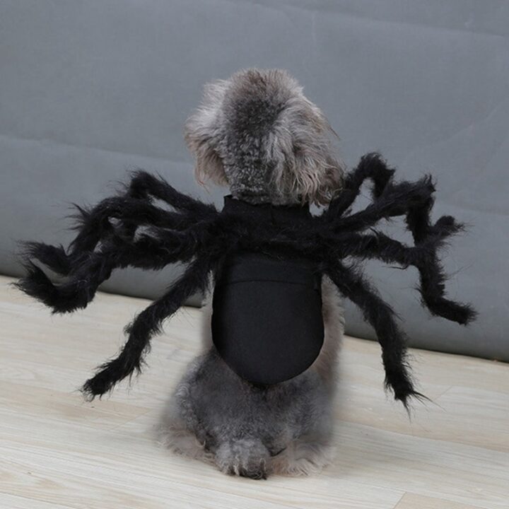 Attractive Black Spider Pet Cosplay Outfit 2
