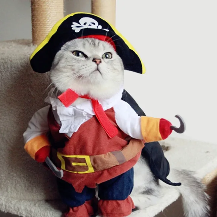 Pirate Outfit for Cats with Cap 2