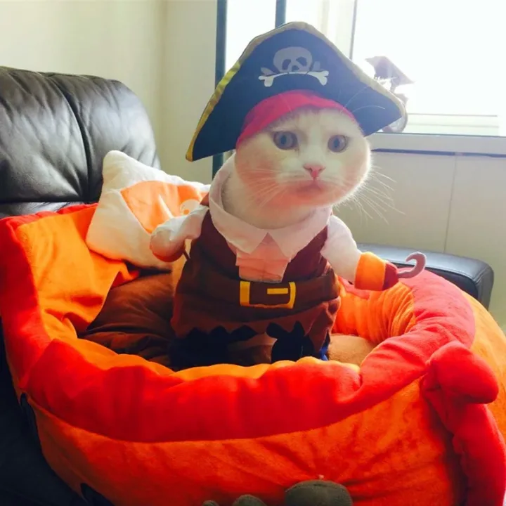 Pirate Outfit for Cats with Cap 3