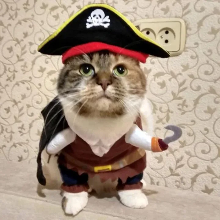 Pirate Outfit for Cats with Cap 4