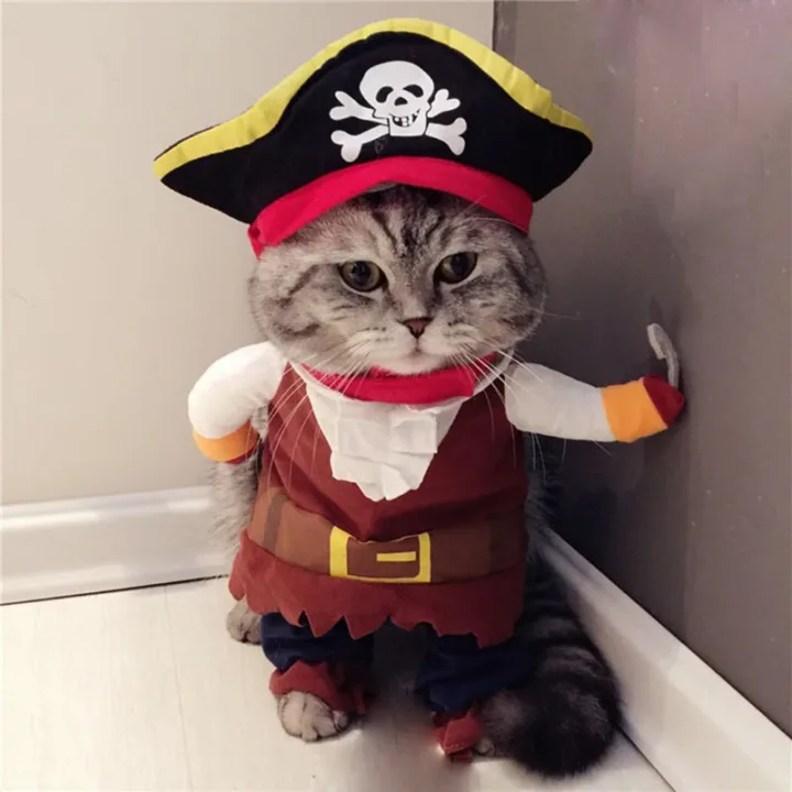 Pirate Outfit for Cats with Cap 1